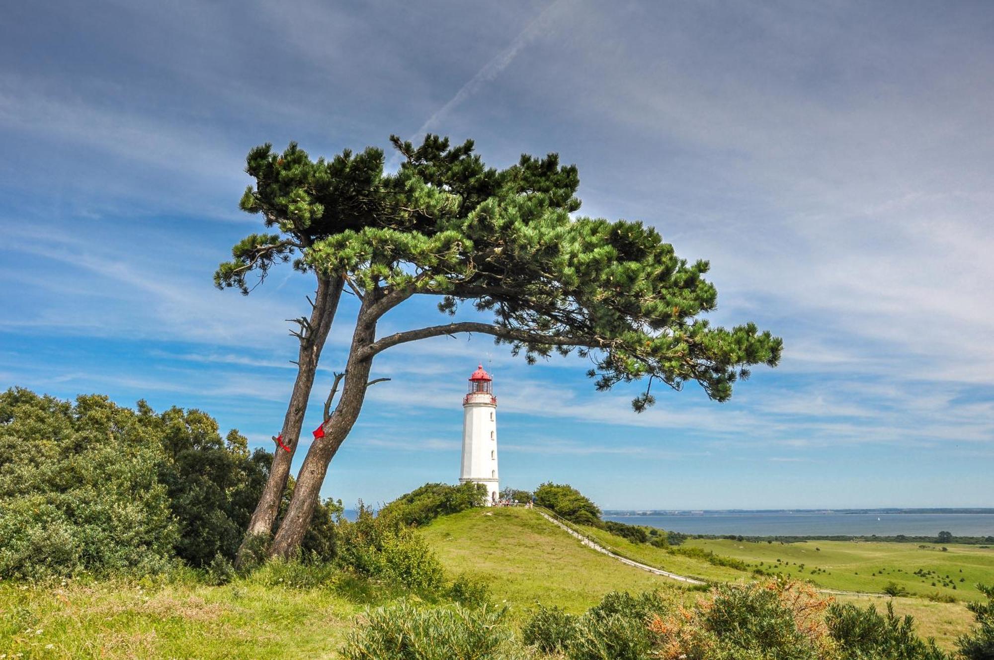 Hotel Ruegenschmiede Vis A Vis Hiddensee Schaprode Bagian luar foto